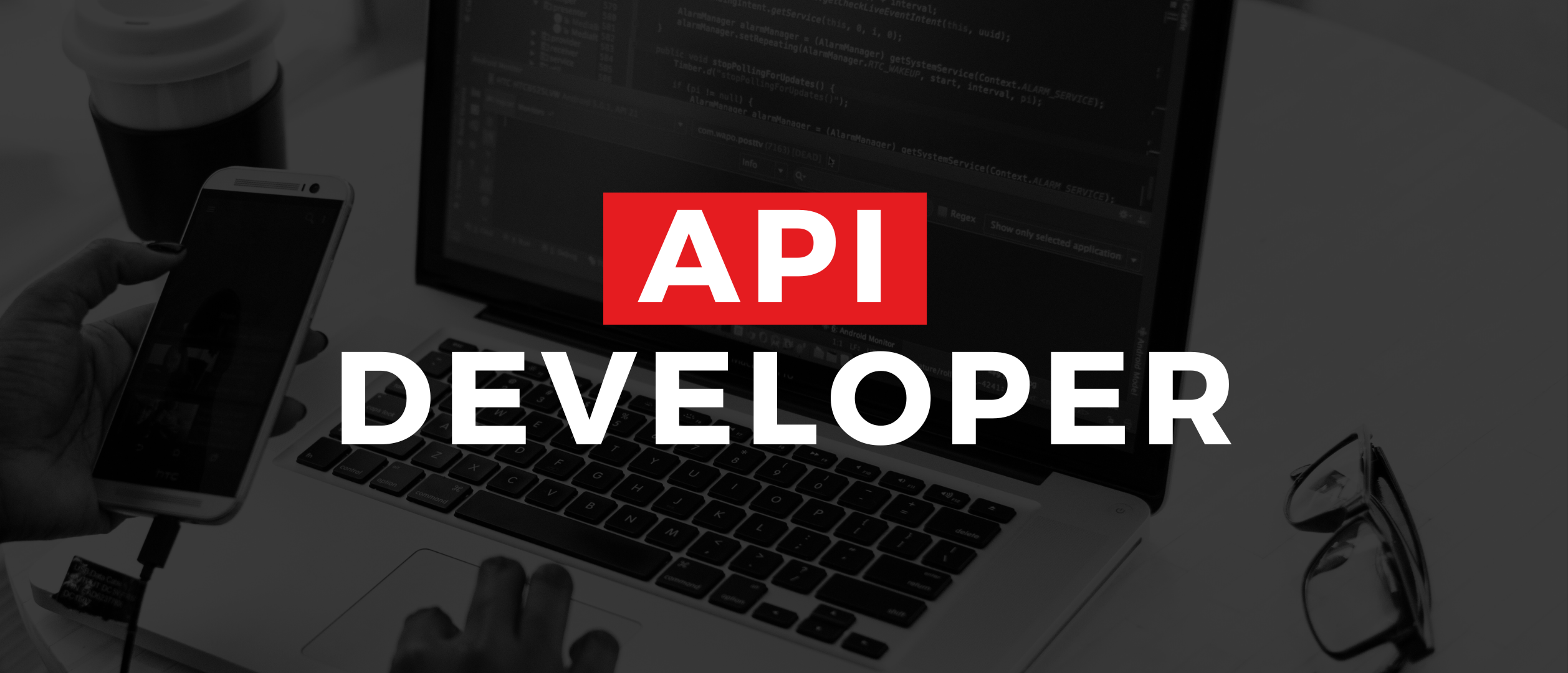 Vacante API Developer